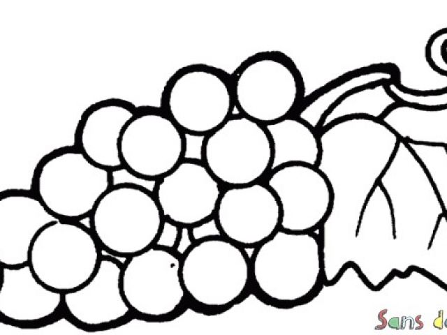 Coloriage Raisin Vigne Coloriage Raisin Et Feuille De Vigne Sans