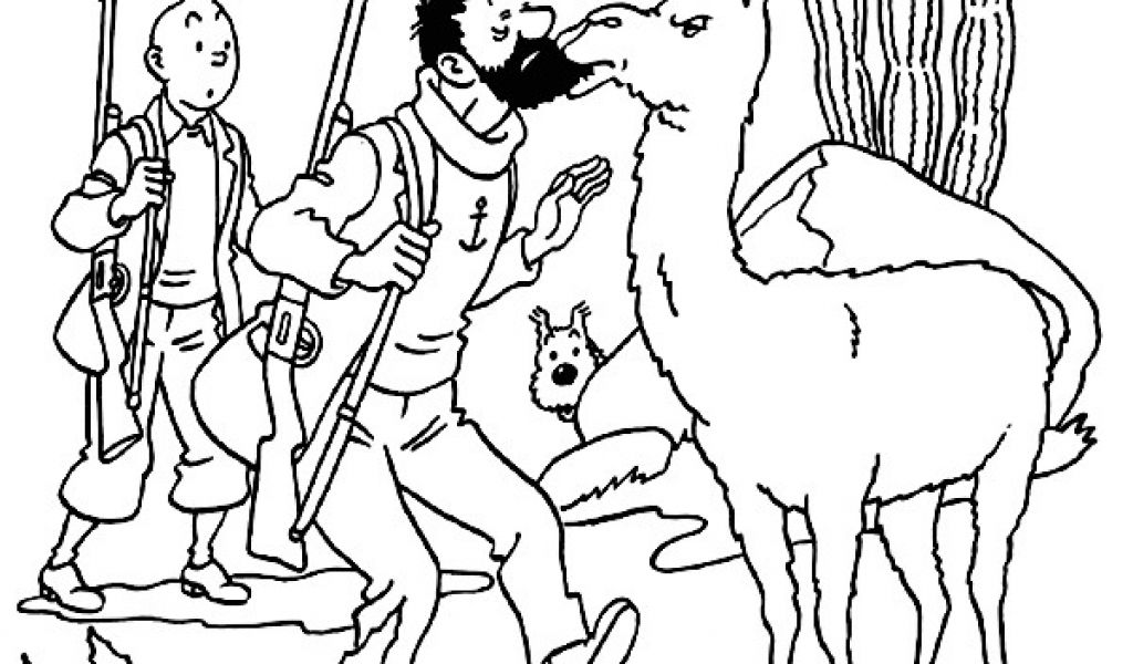 Tintin Coloriage Imprimer Tintin Dessins Anim S Coloriages