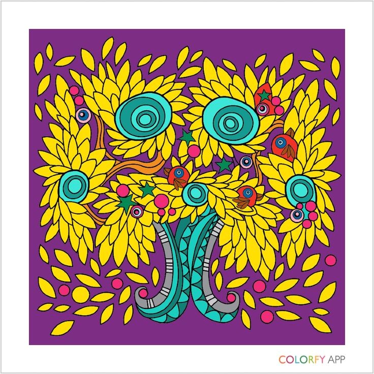 Exotic colorfy