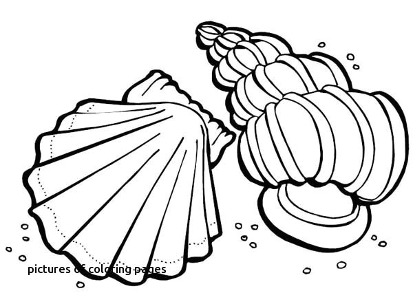 Beautiful Coloring Pages Fresh Https I Pinimg 736x 0d 98 6f for Ours Avec Coeur