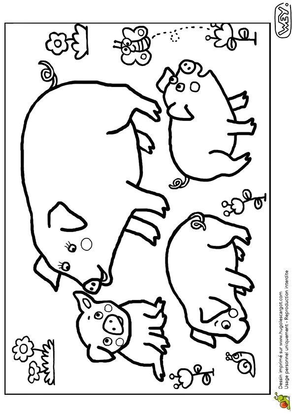 Illustration d une maman truie et de ses trois porcelets   colorier Coloriage BébéColoriages écoleColoriage GratuitBébé PorceletsAnimaux FermeBébés