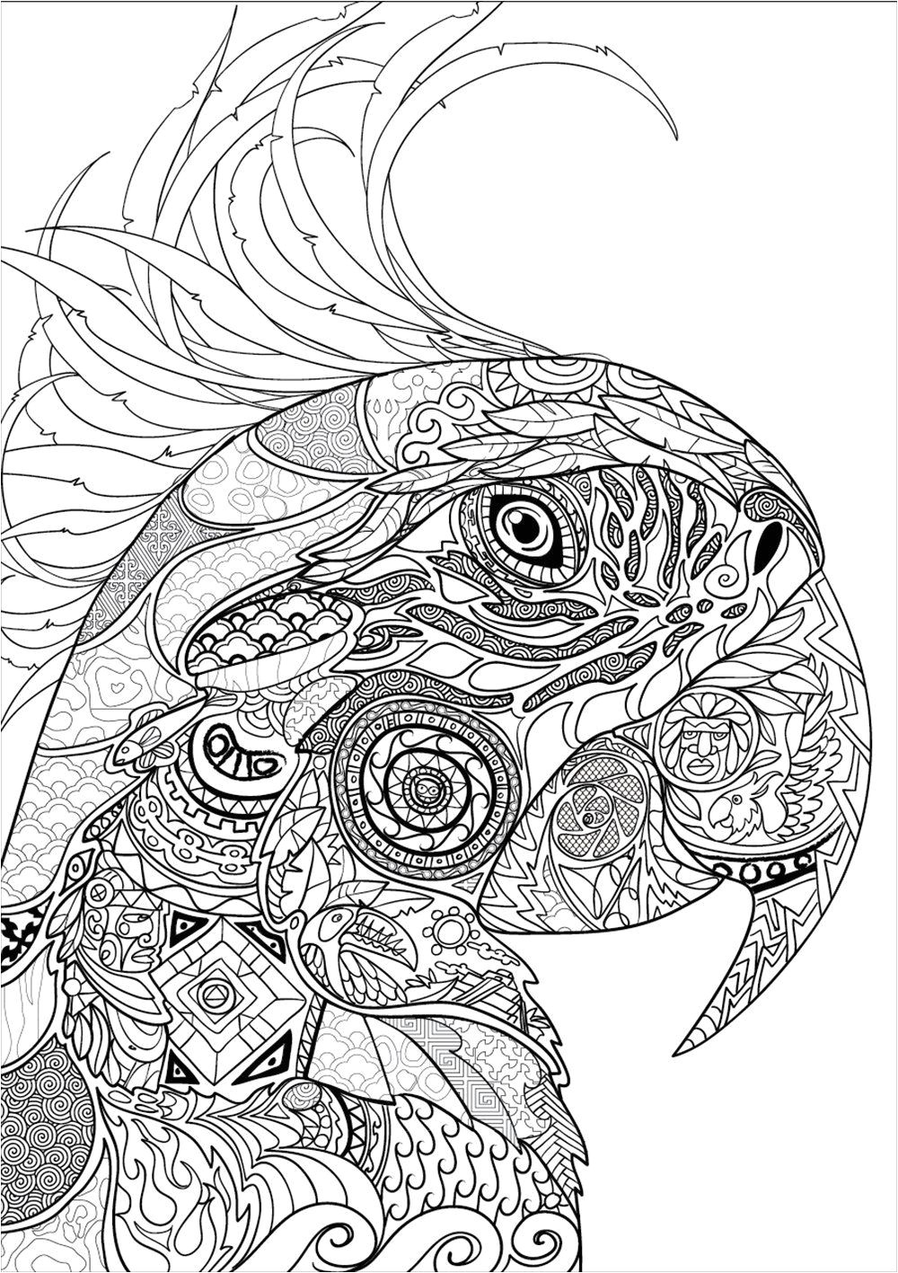 Nouveau bestiaire extraordinaire 100 coloriages anti stress Amazon