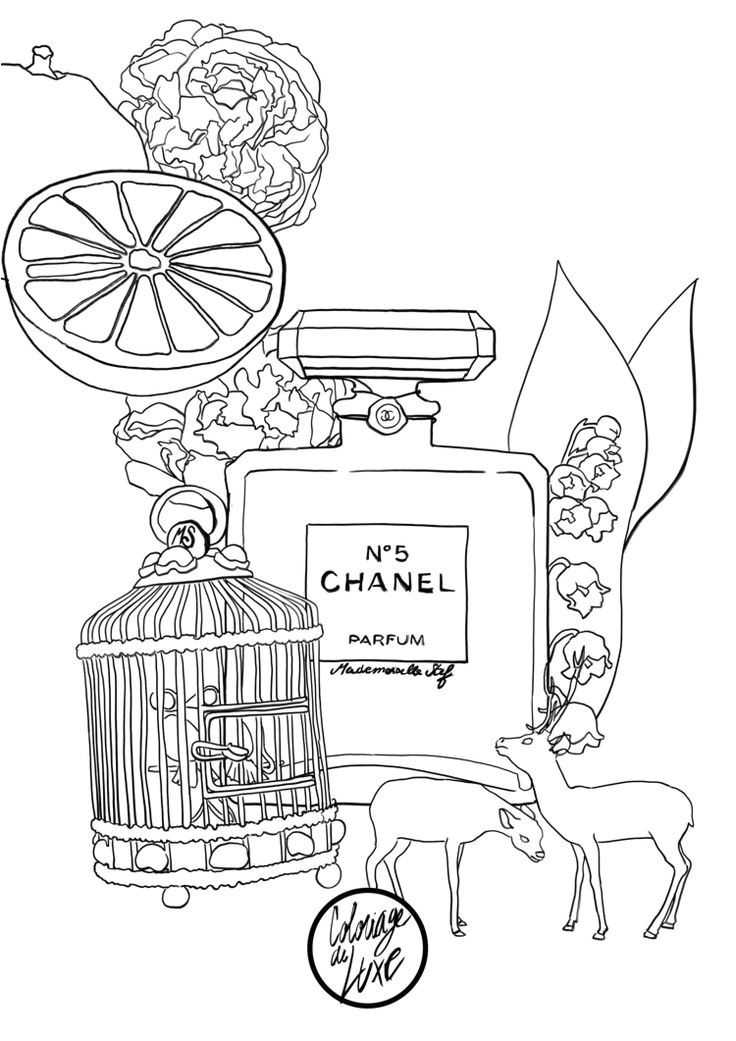 Coloriage Chanel n°5