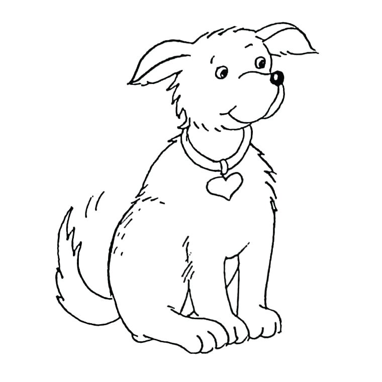 dessin de chien facile coloriage bouvier bernois voir le a imprimer