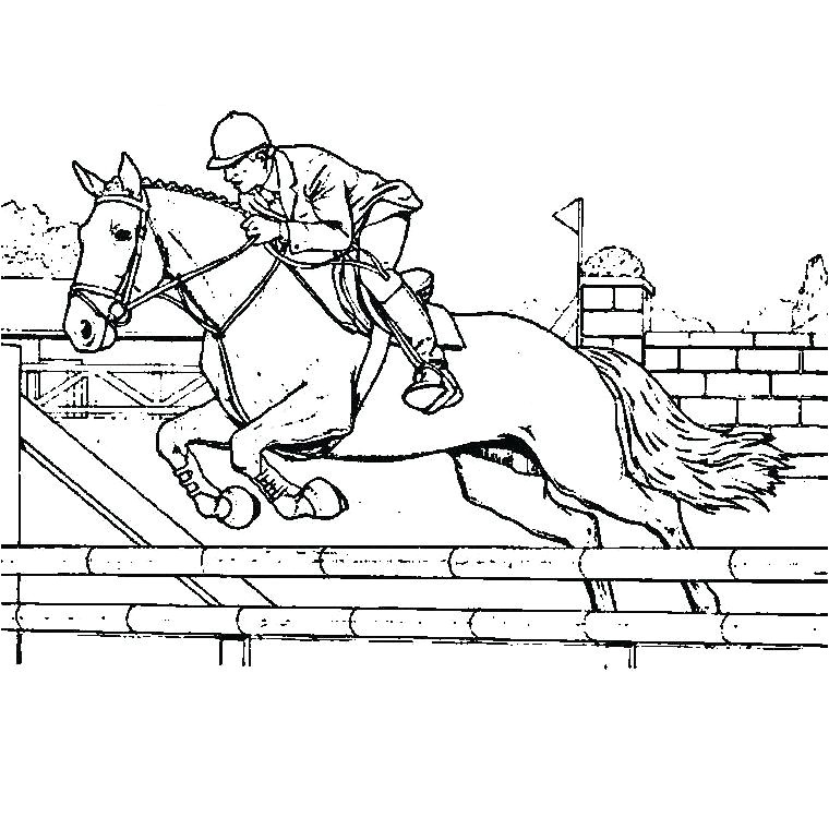coloriage cheval d obstacle coloriages disney