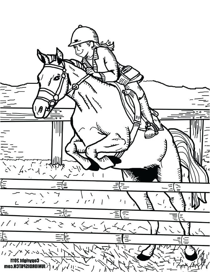 coloriage cheval obstacle 1001 animaux mandala chevaux cavalieres