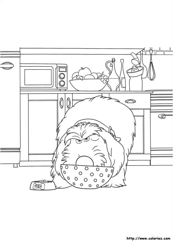 Find this Pin and more on coloriage me des bªtes by marjolaine grange