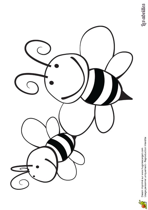 Deux jolies abeilles s affichant sur un beau dessin   colorier