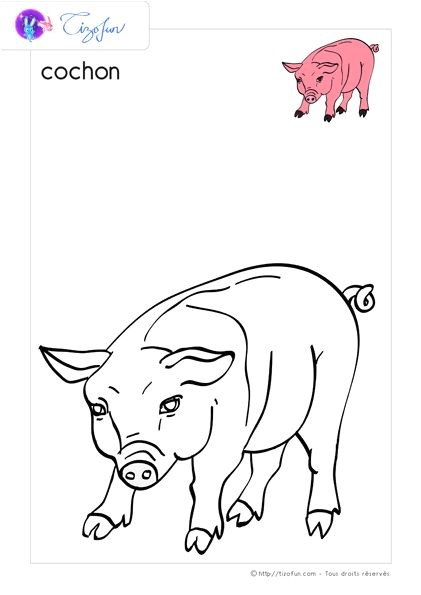animaux ferme dessin a colorier cochon coloriage