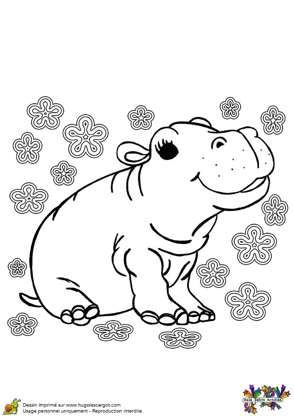 Dessin   colorier d un bébé hippopotame qui sourit