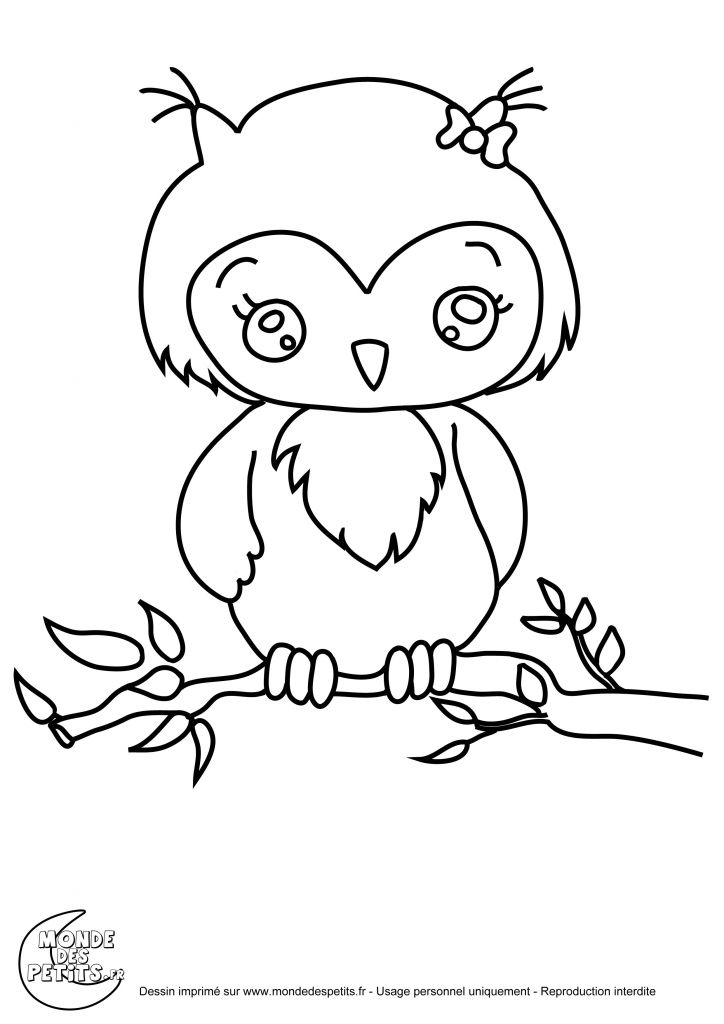 Coloriage D Animaux  A Imprimer  Gratuitement  Dessins 