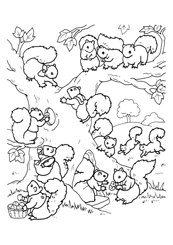 Coloriage Ecureuil Famille page 7 sur 20 sur HugoLescargot