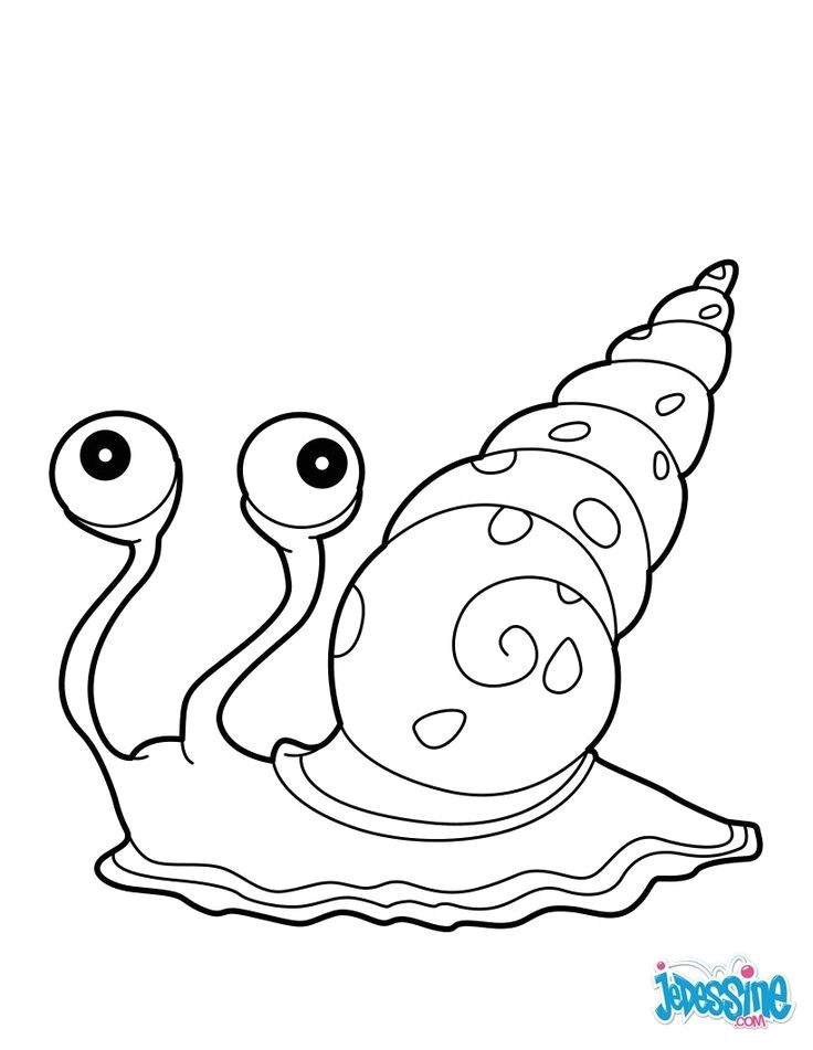 Coloriage d´un escargot de mer avec sa jolie coquille  colorier de plein