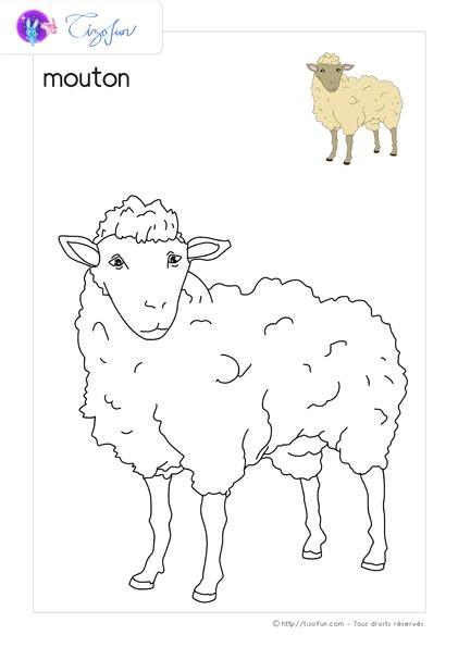 animaux ferme dessin a colorier mouton coloriage