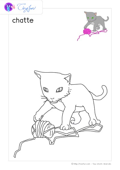 animaux ferme dessin a colorier chatte coloriage