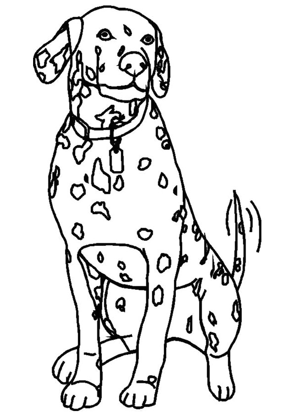 Coloriage dessin chien