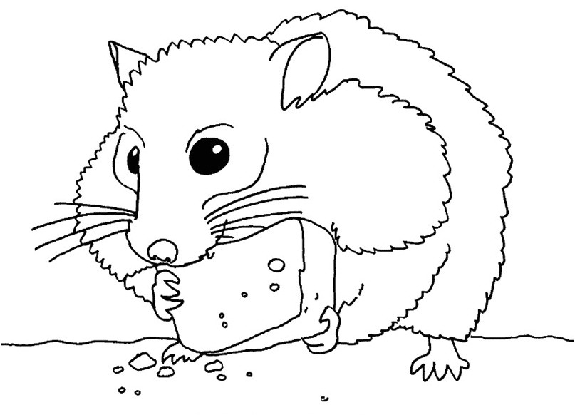 Dessin de un hamster qui mange du fromage