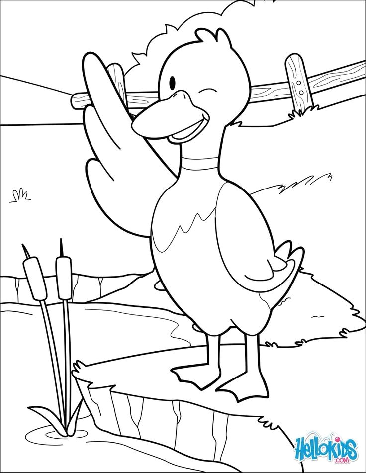 Coloriage des animaux de la ferme le canard Un joli dessin pour les enfants