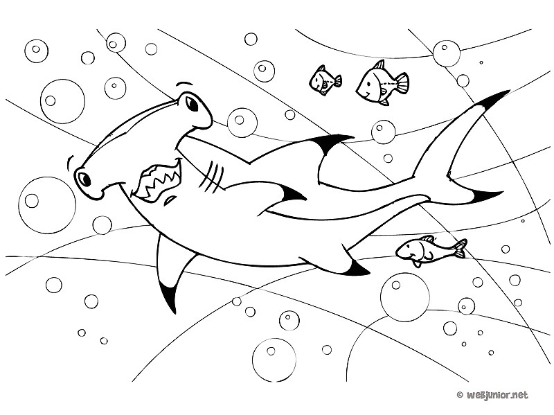 Il faut dire que le requin marteau n est pas le plus dangereux malgré son dr´le de visage en forme d outil de bricolage Imprimer ce dessin