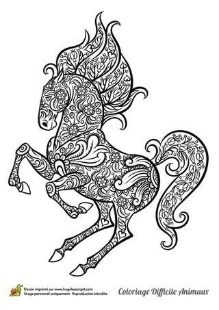 Coloriage d un cheval cabré il est sur ses deux pattes arri¨res et dessiné   la mani¨re des mandalas Plus