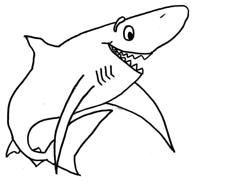 Coloriage Requin   imprimer Gratuit sur Cocoloriage