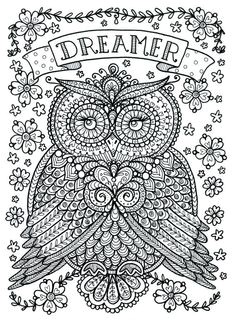 Galerie de coloriages gratuits coloriage adulte animaux hibou Chouette cette chouette