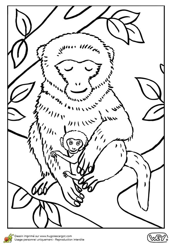 Cette maman macaque pose sur un arbre avec son bébé coloriage pour enfants