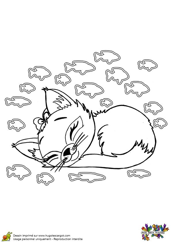 Un bébé chat qui dort en rªvant de poissons   colorier