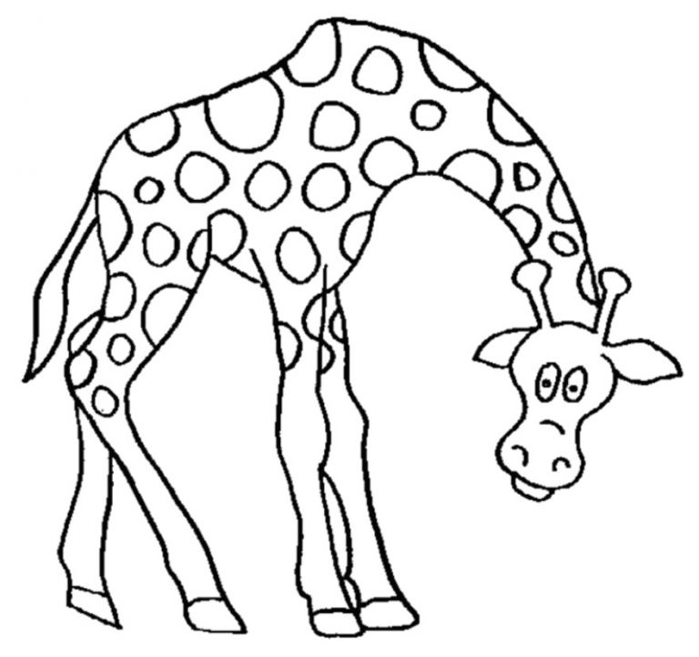 Coloriage sophie La Girafe Coloriage Magique Girafe  danieguto.net