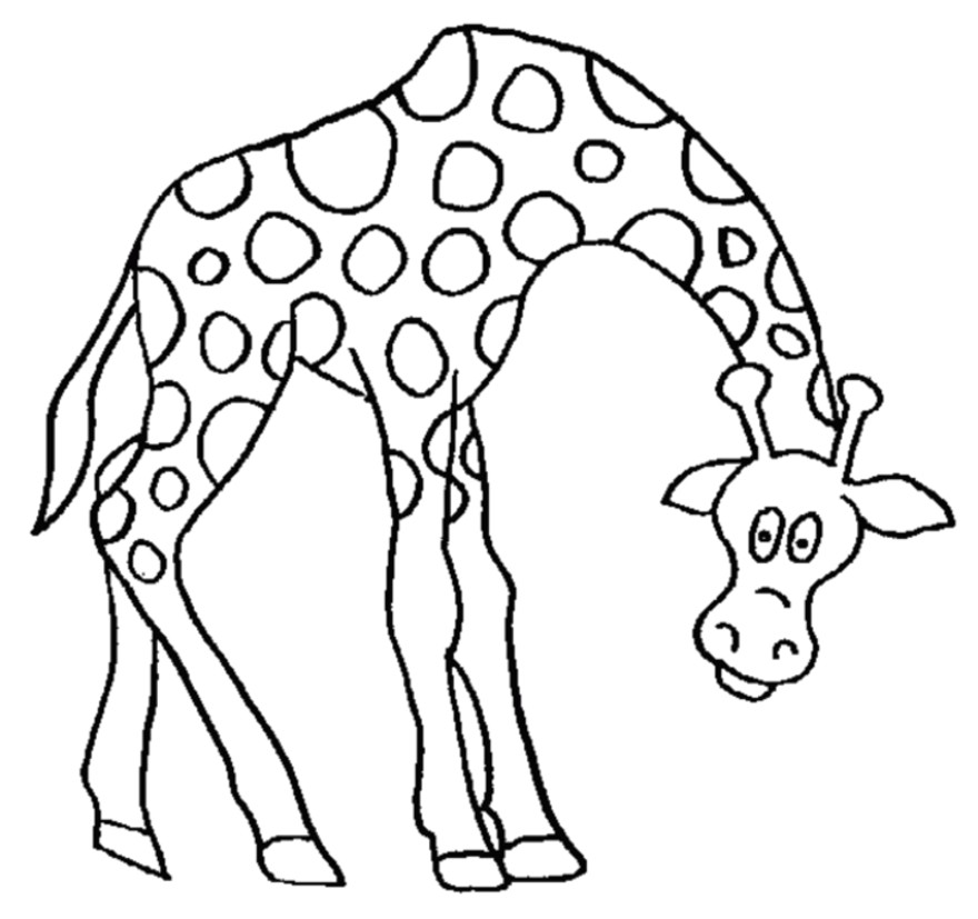 coloriage  dessiner sophie la girafe