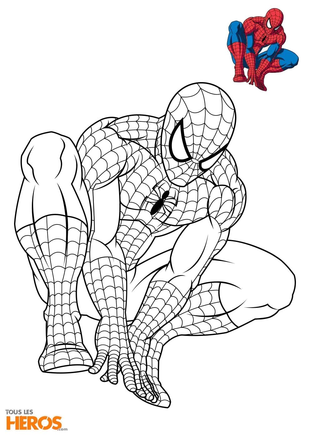 Coloriages Spiderman   imprimer sur le blog de TLH