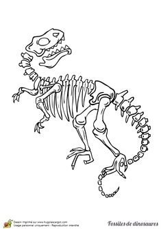 Coloriage fossile dinosaure gros t rex