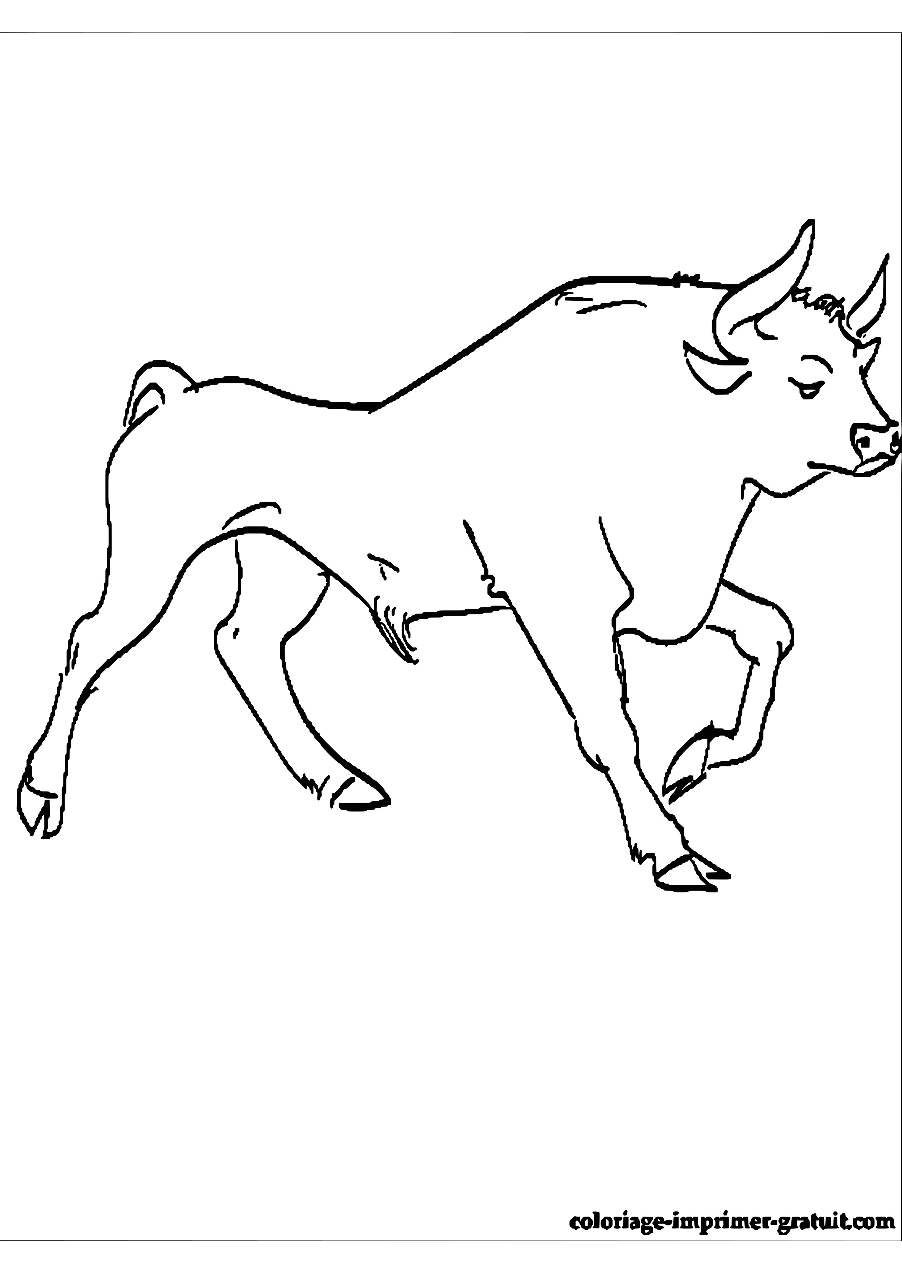 Dessin A Imprimer Gratuit Vache Mignon Design Animaux Coloriage Taureau Coloriage Taureau Corrida Dessin