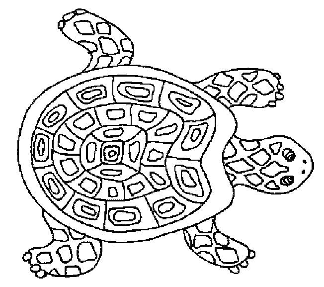 Image detail for Turtles coloring pages