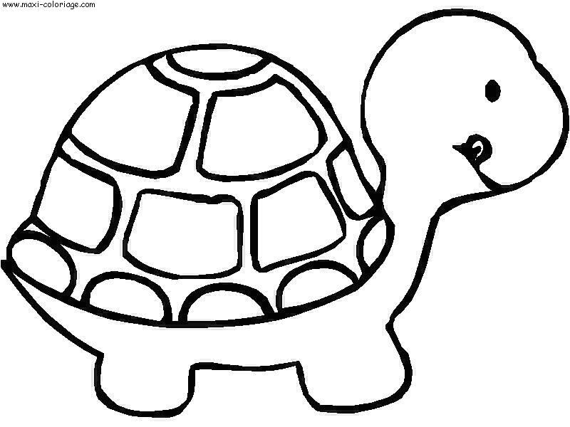coloriage enfant tortues dessin enfant tortues tortues Coloriage