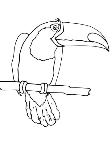 Toucan Coloriage