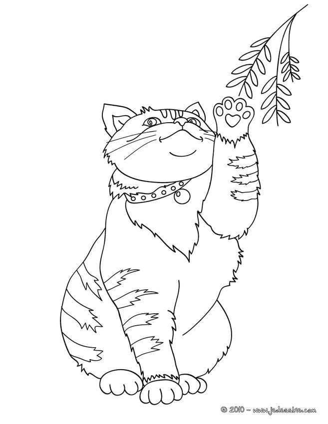 Coloriage d un joli chat qui joue avec une branche avec un collier Un