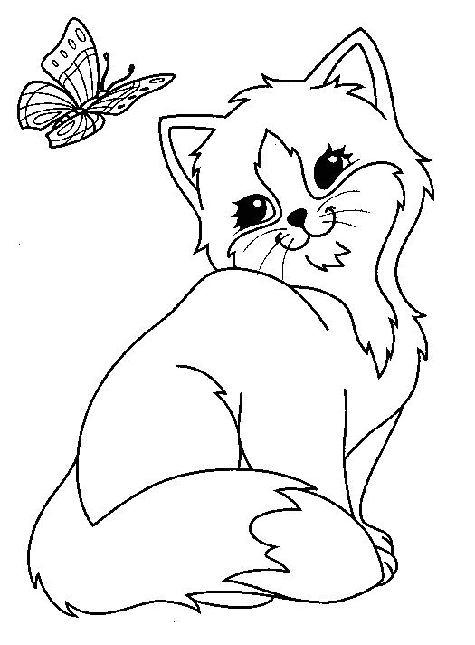 dessin chat papillon