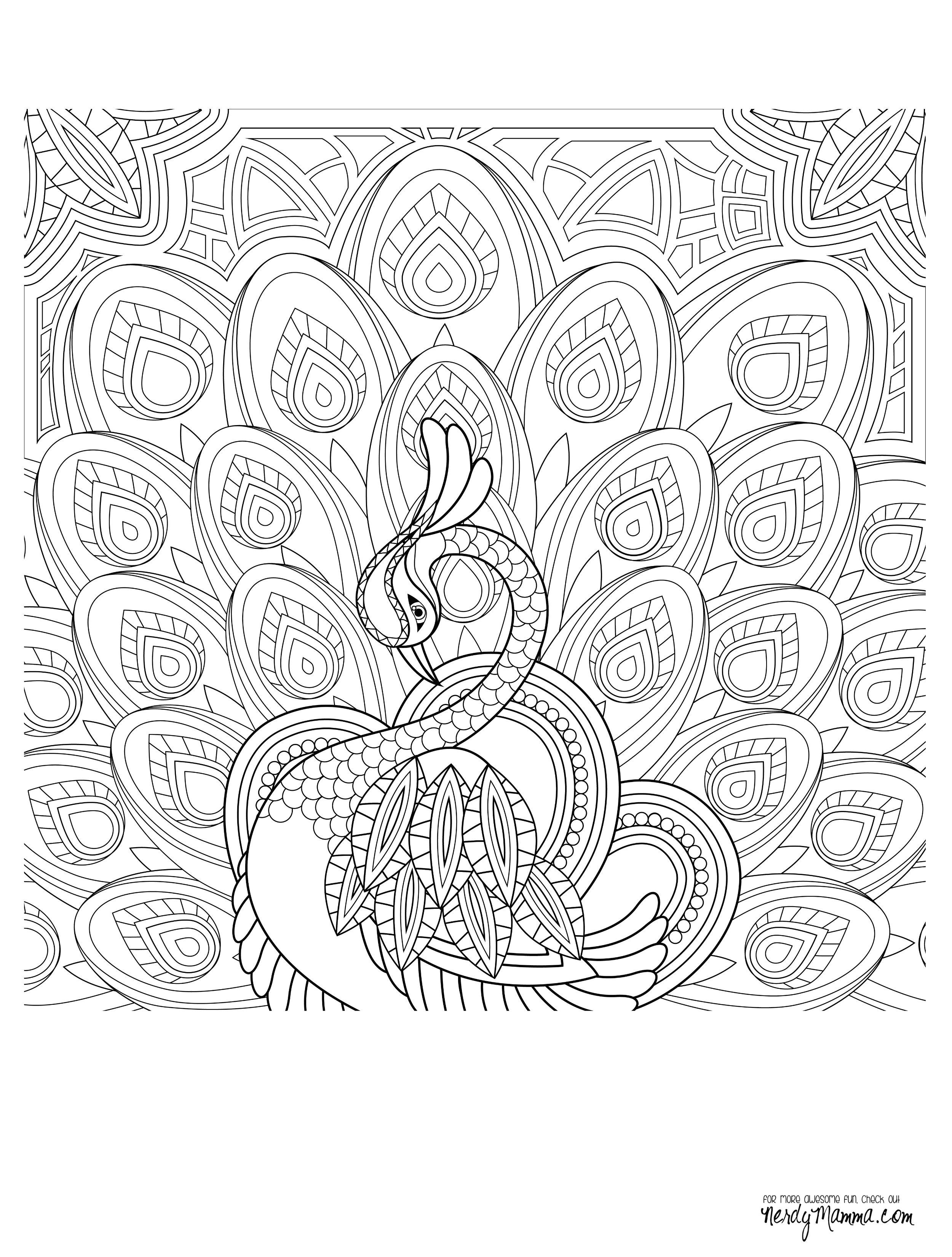 Peacock Feather Coloring Pages Colouring Adult Detailed Advanced Printable Cds 0d