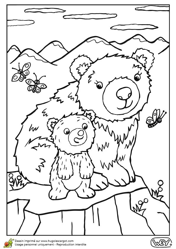 Illustration de bébé ours et sa maman sur un rocher   colorier