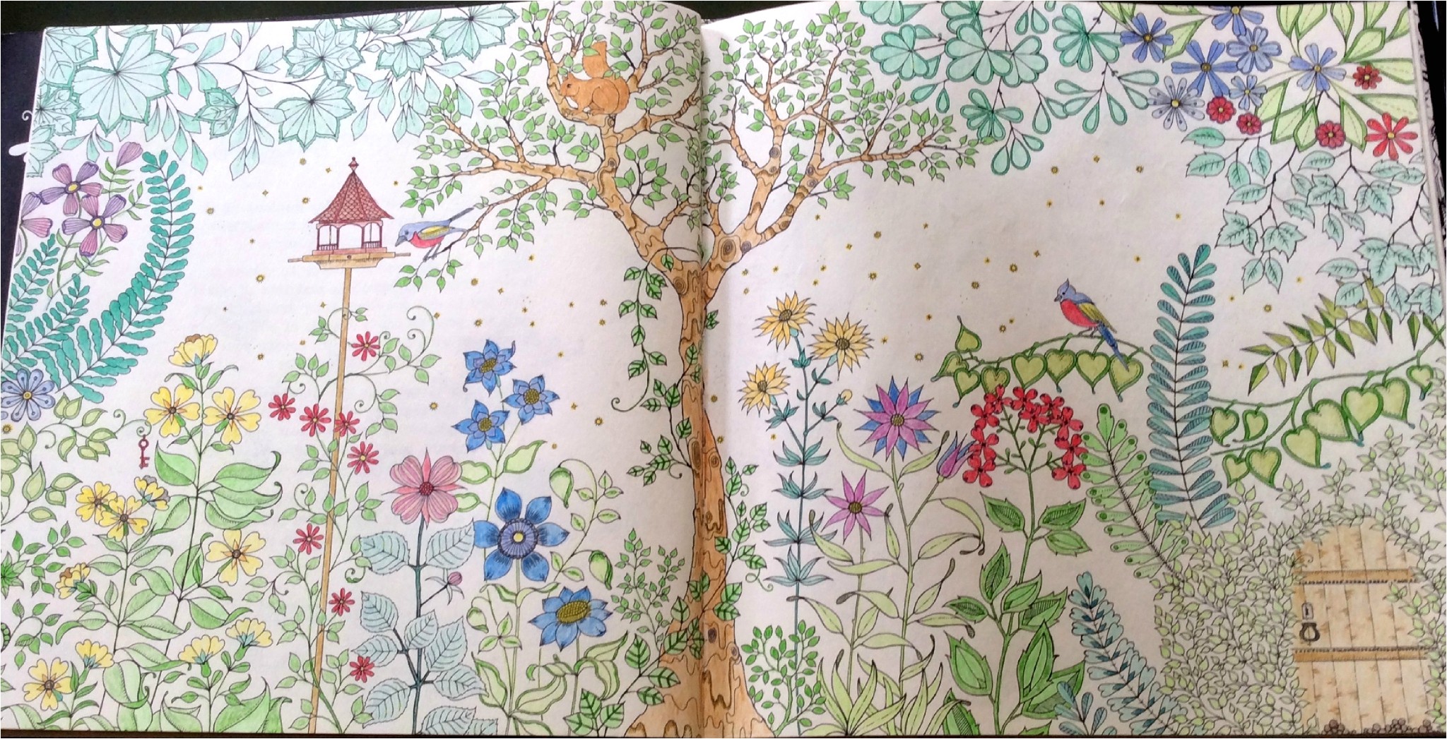 coloriage jardin secret arbre1