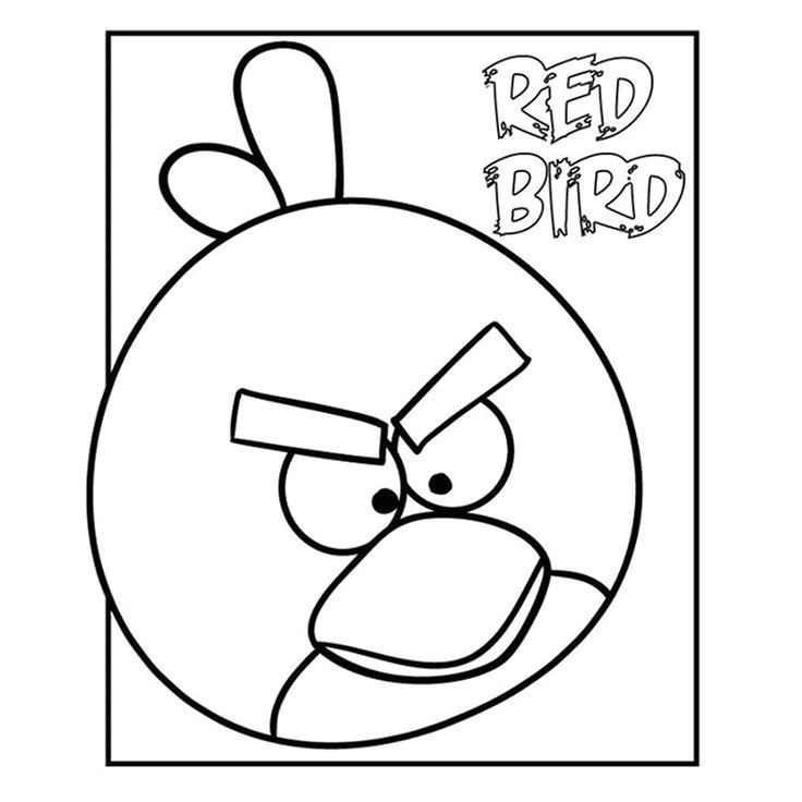 angry birds 0003