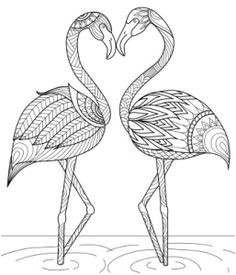 Craft Haven Flamingo Free Coloring Page