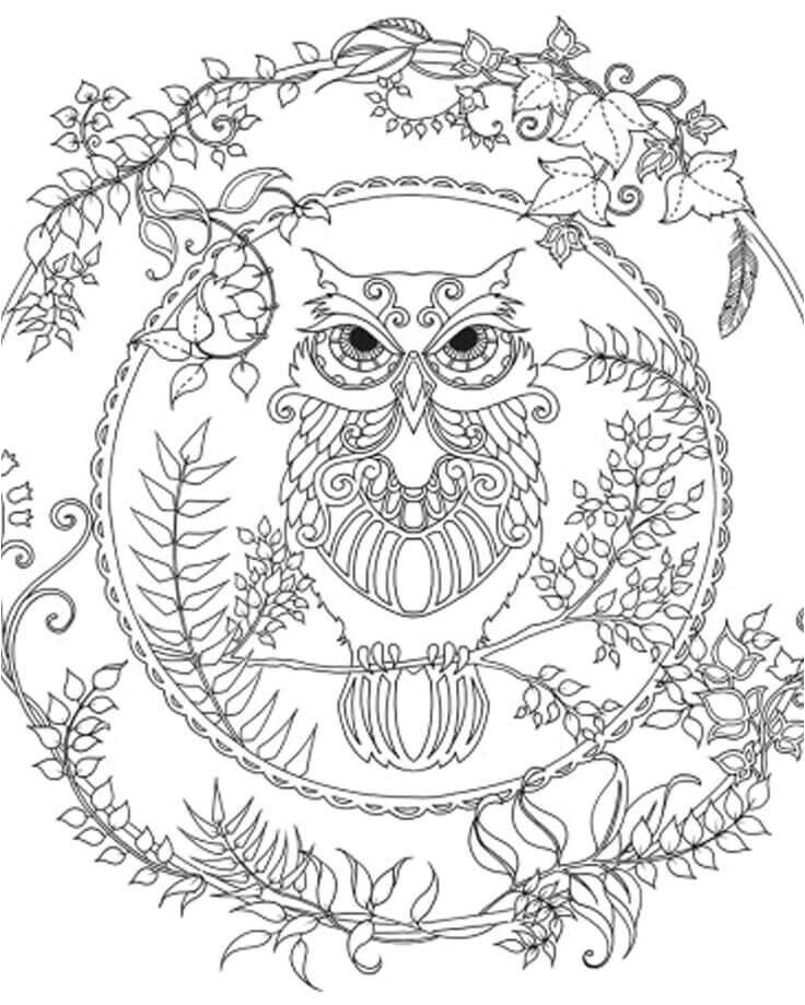 Color · Coloriage ChouetteColoriage AnimauxColoriage