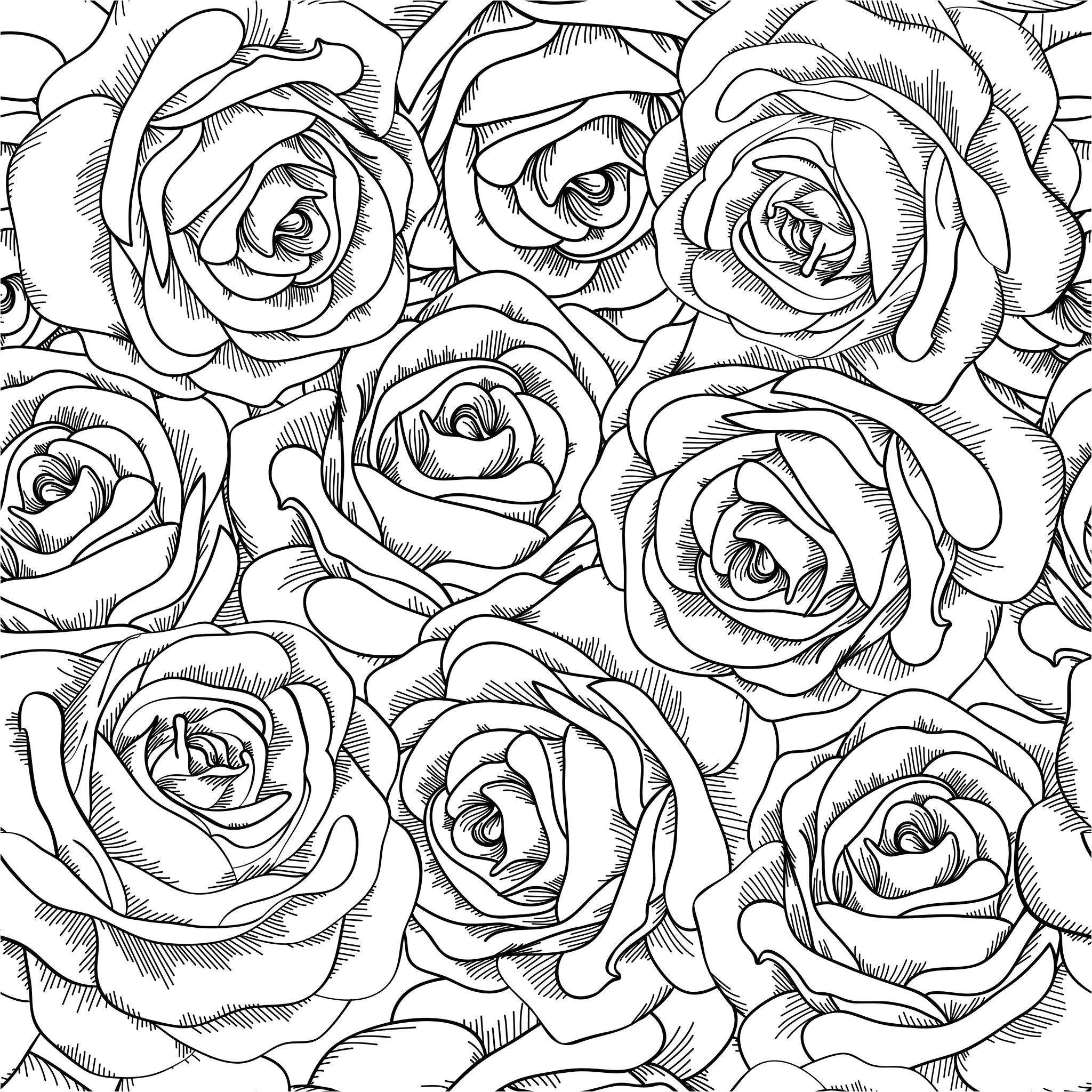 coloriage coloring rose fleur flower ×ª××¦××ª ×ª××× × ×¢×××¨ pages couleur gratuites pour adultes‏