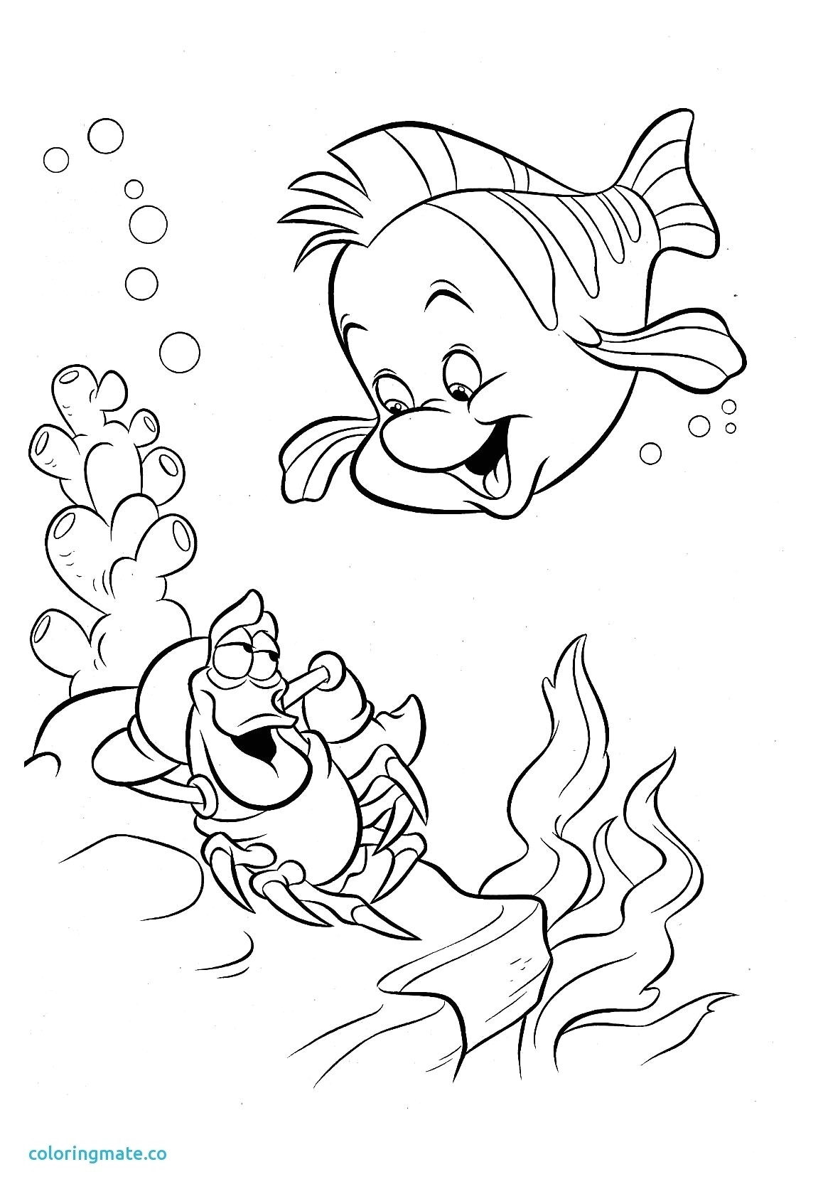 Coloriage A Imprimer Dauphin Gratuit