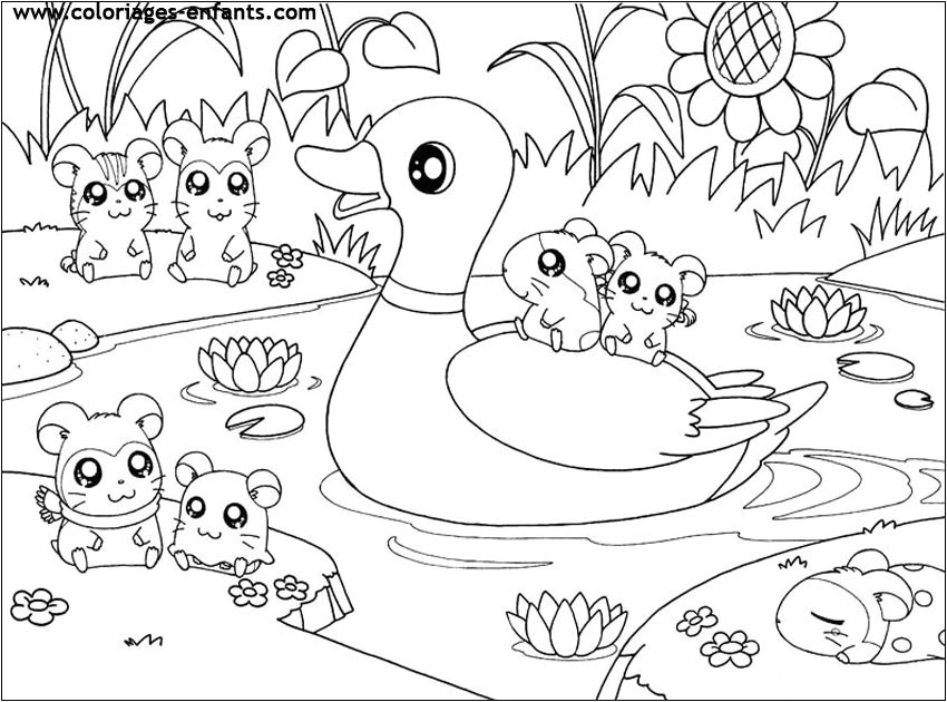Nos jeux de coloriage canard imprimer gratuit page 6 of 11 Canard dessin facile
