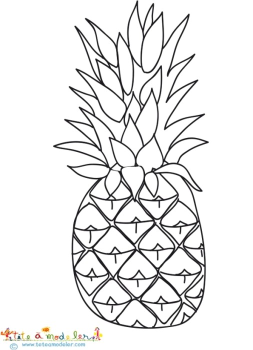 Ananas   colorier