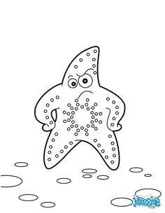 Starfish are not really fish They are invertebrates because they have no backbones like sea urchins and sand dollars Most starfish have five arms but