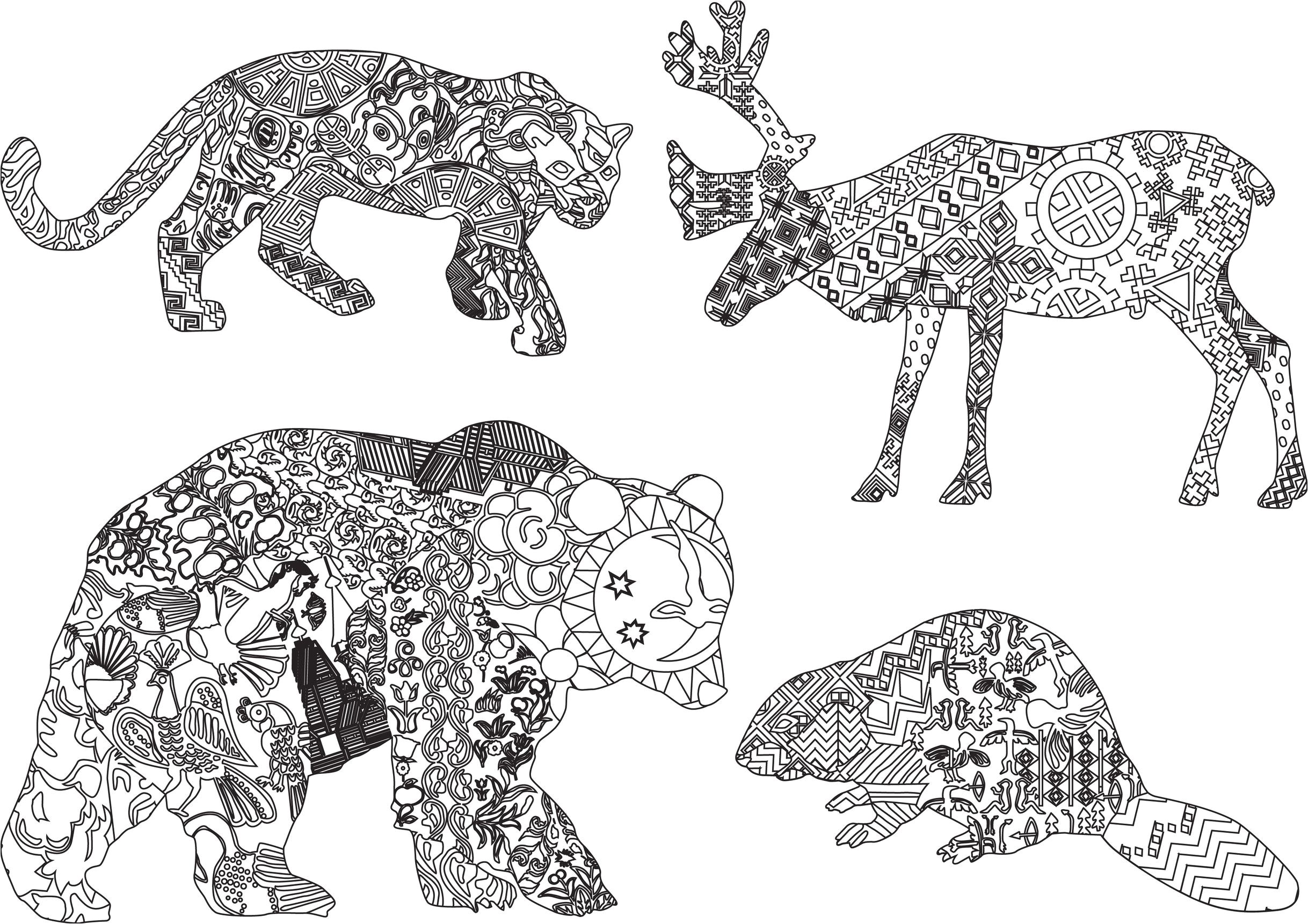 Coloriage Animaux Sauvages Difficile Coloriage Anti Stress Animaux Tigre